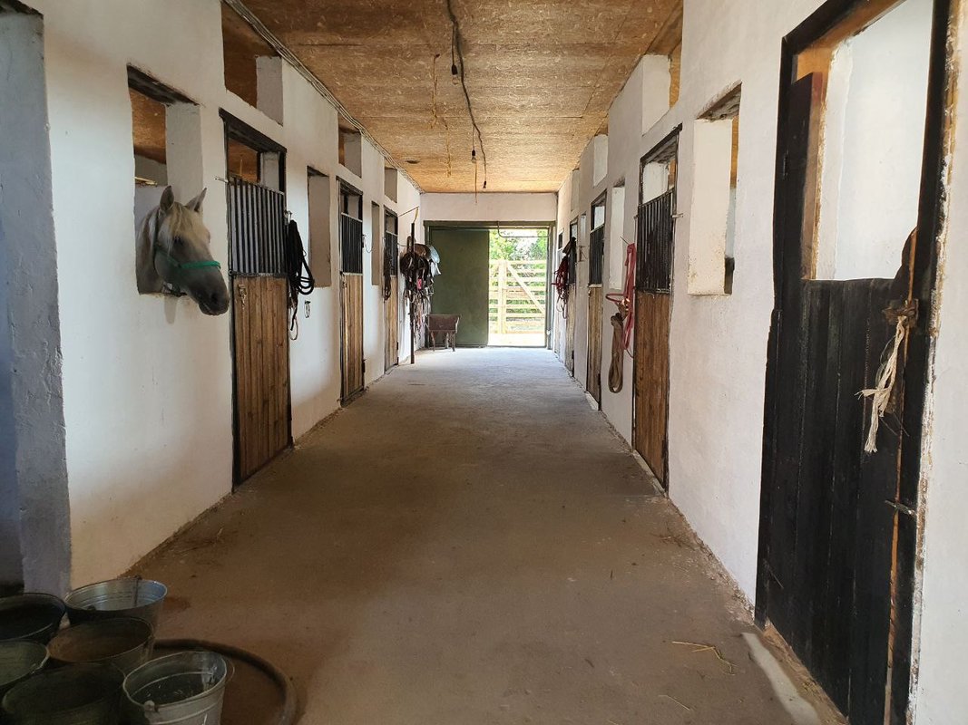 Accommodation - Photo 20