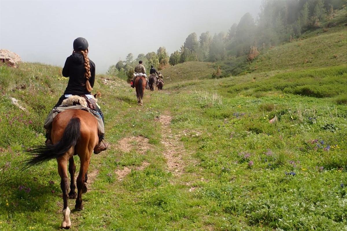 Return Journey - Photo 3