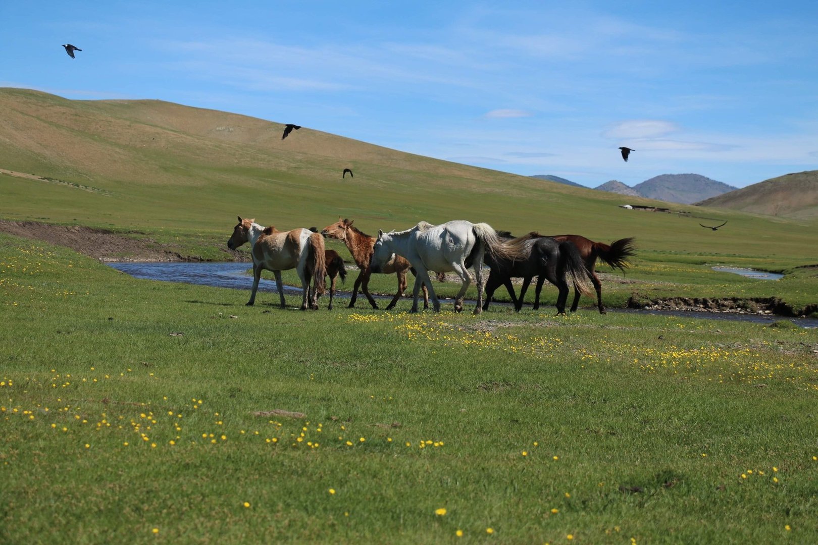 Remote Valley Exploration - Photo 2