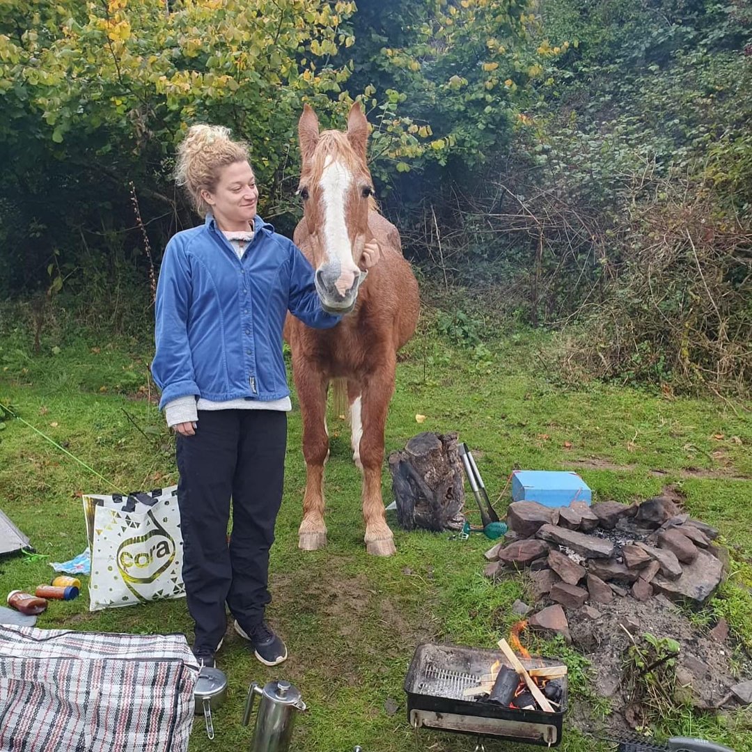 Ancient Forest Trek - Photo 1