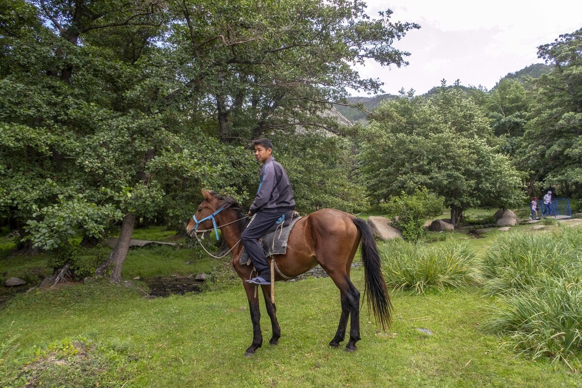 Day 9: Final Day of Riding in Bayanaul and Farewell Dinner - Photo 3