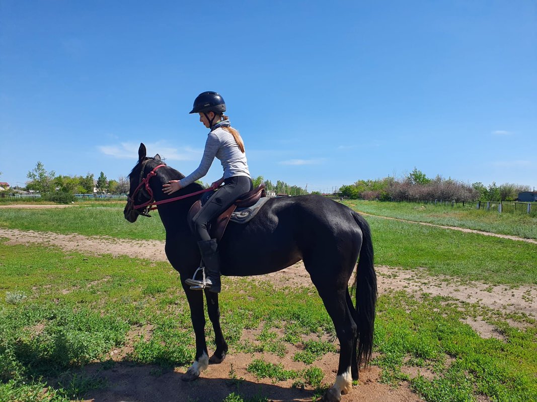Day 3: Immersion in Ranch Life, Shepherding Horses, and Kazakh Cooking - Photo 4