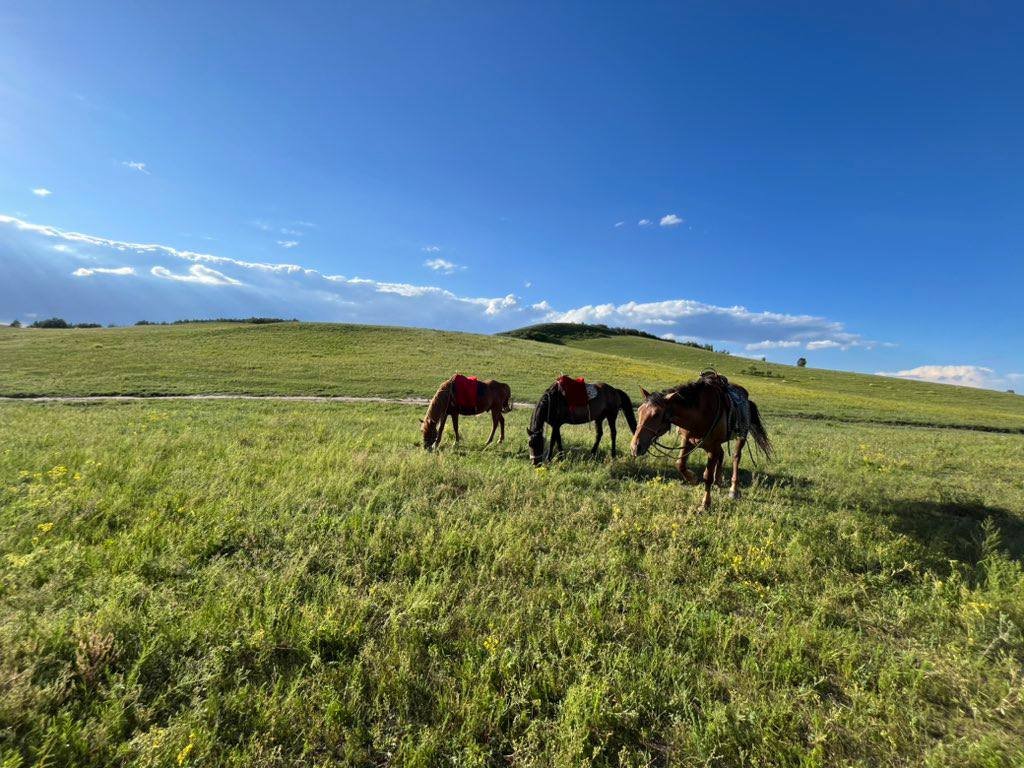 Day 4: Lakes Circuit and Scenic Picnic - Photo 3